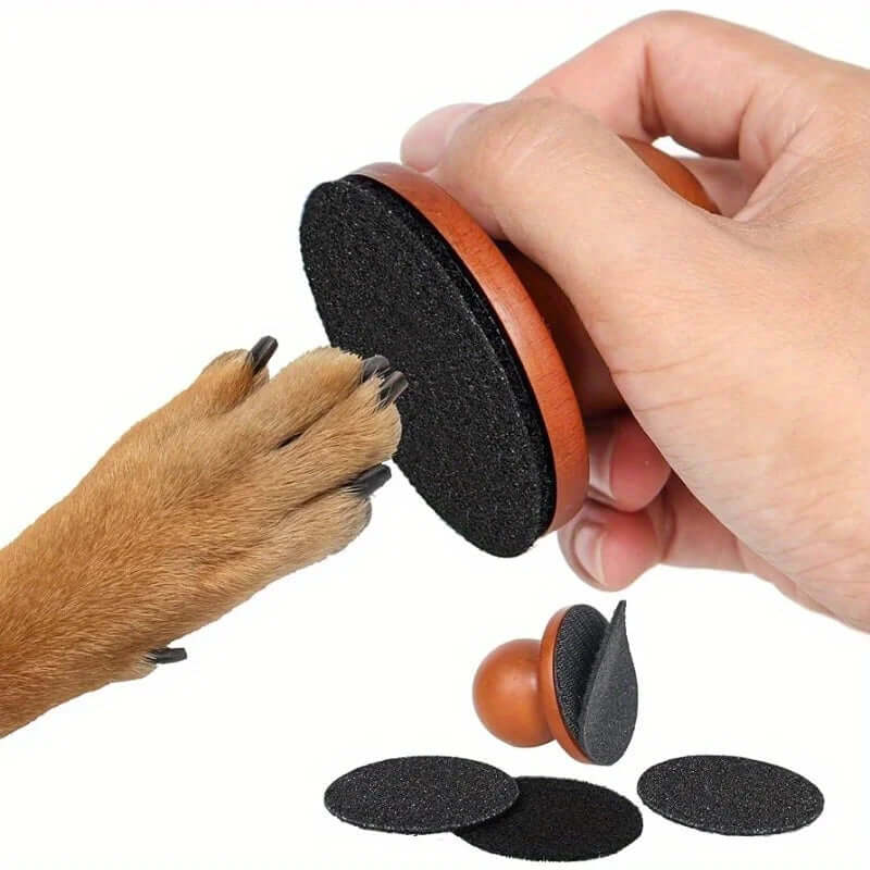 Dog Nail Grinding That's Calm & Stress Free -AZPaws
