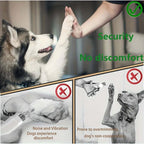 Dog giving a high-five to a person with text about security and no discomfort, alongside images of a dog being groomed and overtrimmed.-AZPaws