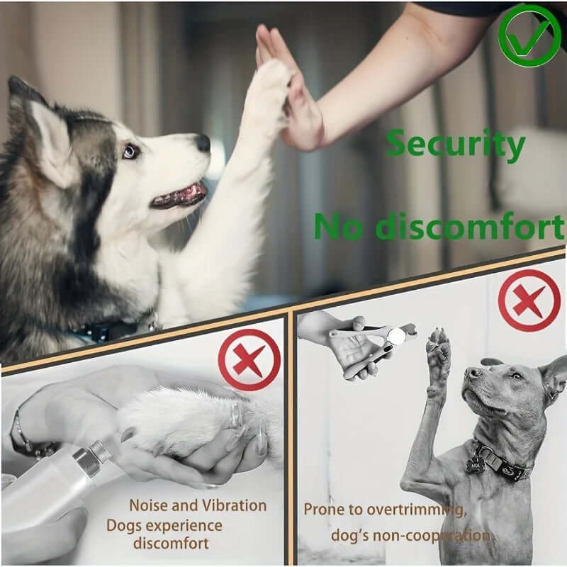 Dog giving a high-five to a person with text about security and no discomfort, alongside images of a dog being groomed and overtrimmed.-AZPaws