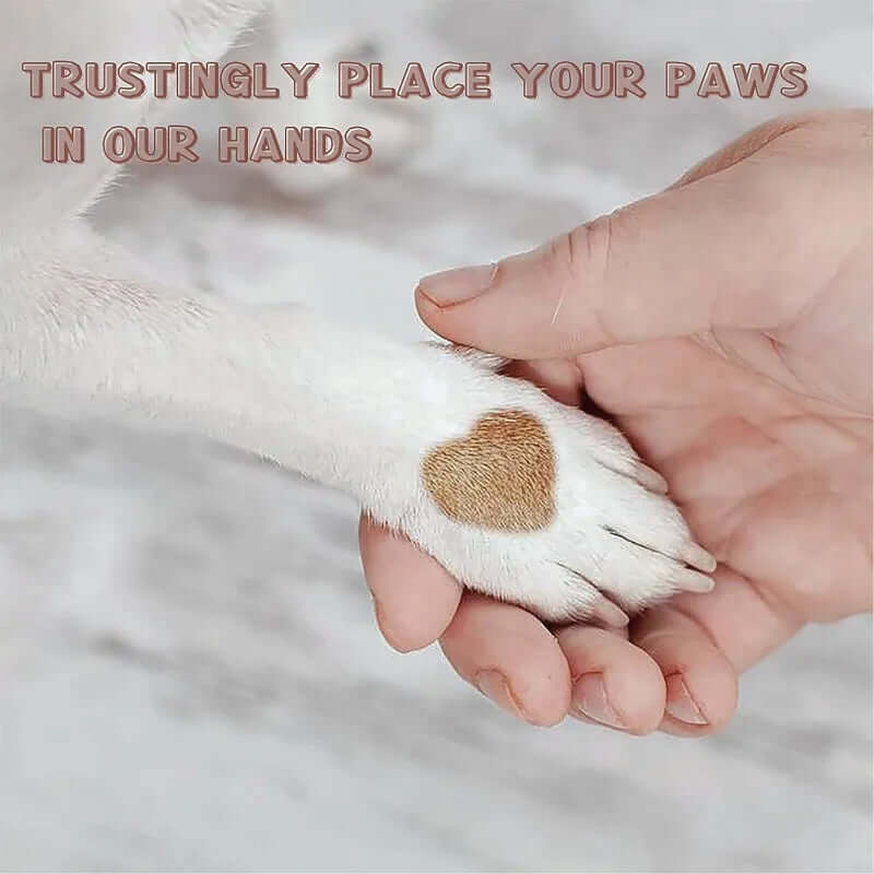 Close-up of a person's hand holding a dog's paw with text above-AZPaws