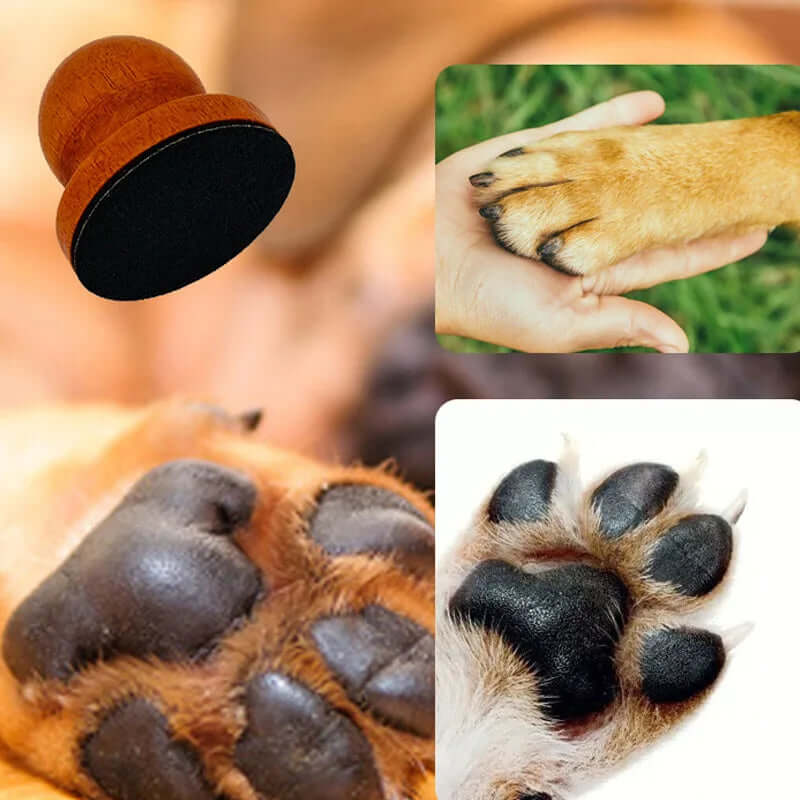 Dog nail file for scared dogs safe and pain free easy use gentle and rewarding.-AZPaws