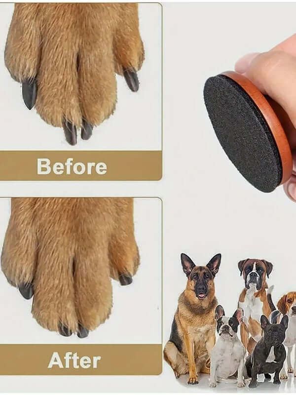 Dog nail file for scared dogs safe and pain free easy use gentle and rewarding.-AZPaws