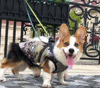Cozy Pup Winter Hoodie for small dogs  -AZPaws