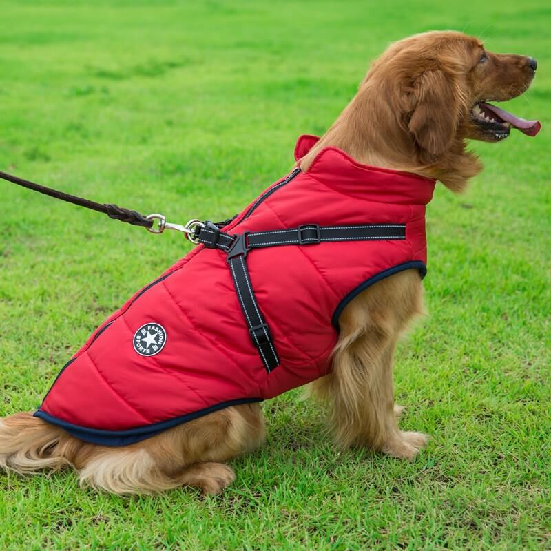 dog hoodies for large dogs-AZPaws