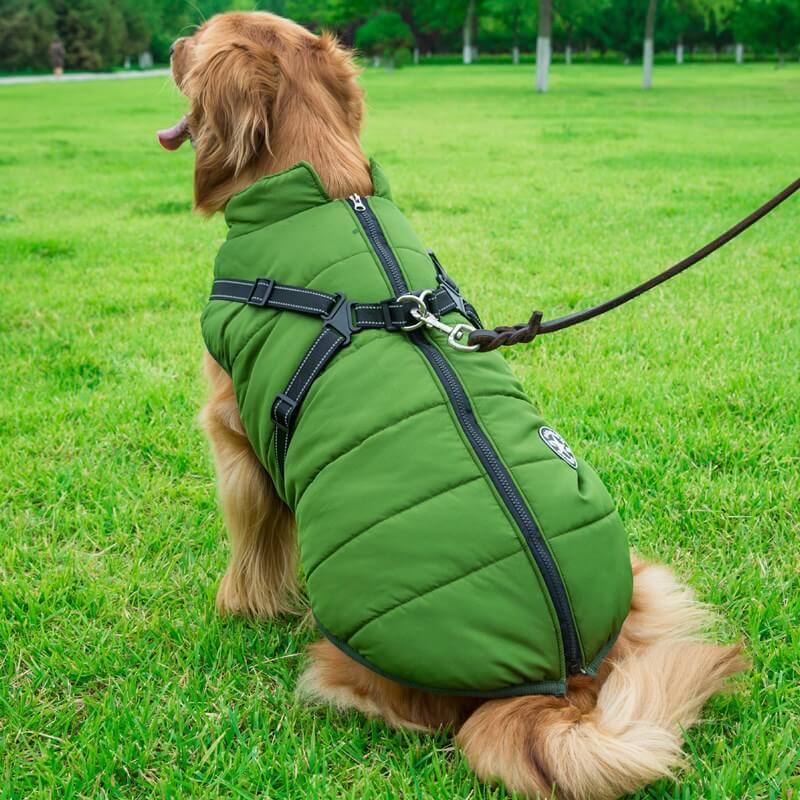 dog waterproof hoodie-AZPaws
