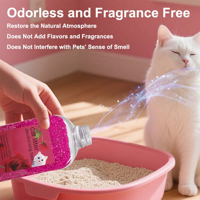Person pouring cat litter into a pink litter box with a white cat sitting nearby, text about odorless and fragrance-free product. - AZPaws