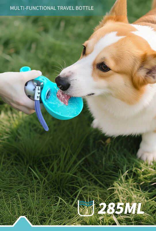 Travel dog water bottle for small dogs with easy drinking dispenser and portable hydration design |AZPaws