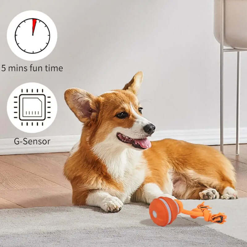 dog toys with squeaker- AZPaws
