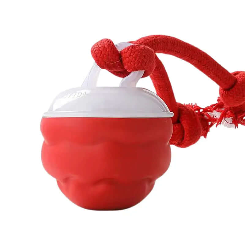 Smart interactive dog toy ball with motion activation- AZPaws