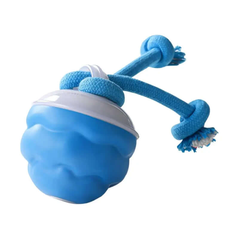 Interactive Dog Toy Ball - Automatic Moving, Bouncing, Rotating With USB Rechargeable -AZPaws