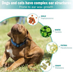 Dog sitting on grass with ear wax growth infographics