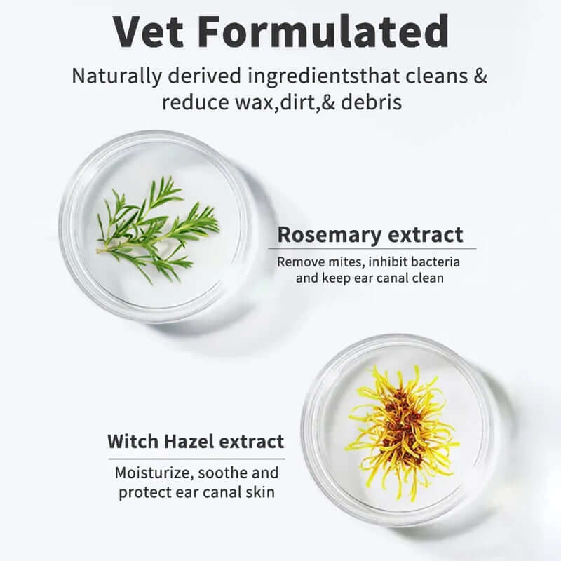 Product packaging with rosemary and witch hazel extracts on a white background