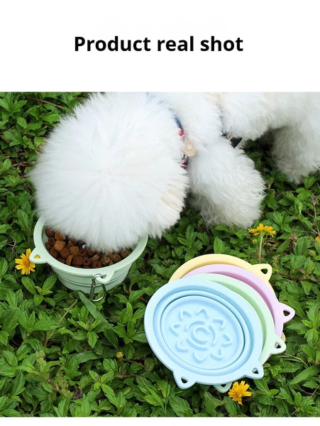 Portable 3-in-1 Pet Bowl