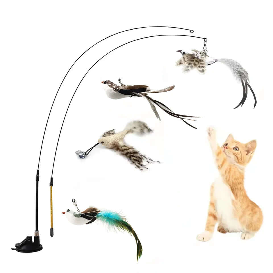 Fun Interactive Cat Toy - azpaws