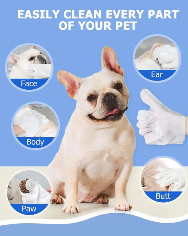Dog with cleaning products and text on a blue background