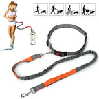Hands-free dog leash for walking, running, and training control