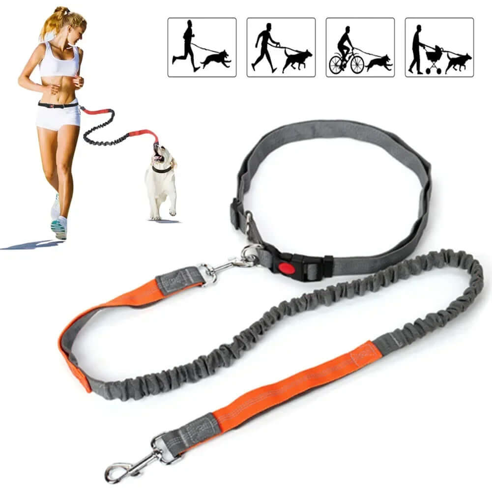Hands-free dog leash for walking, running, and training control