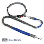 Hands - Free Dog Leash - azpaws