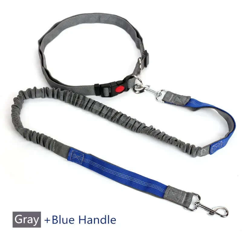 Hands - Free Dog Leash - azpaws