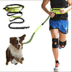 hands free dog leash with pouch - AZPaws