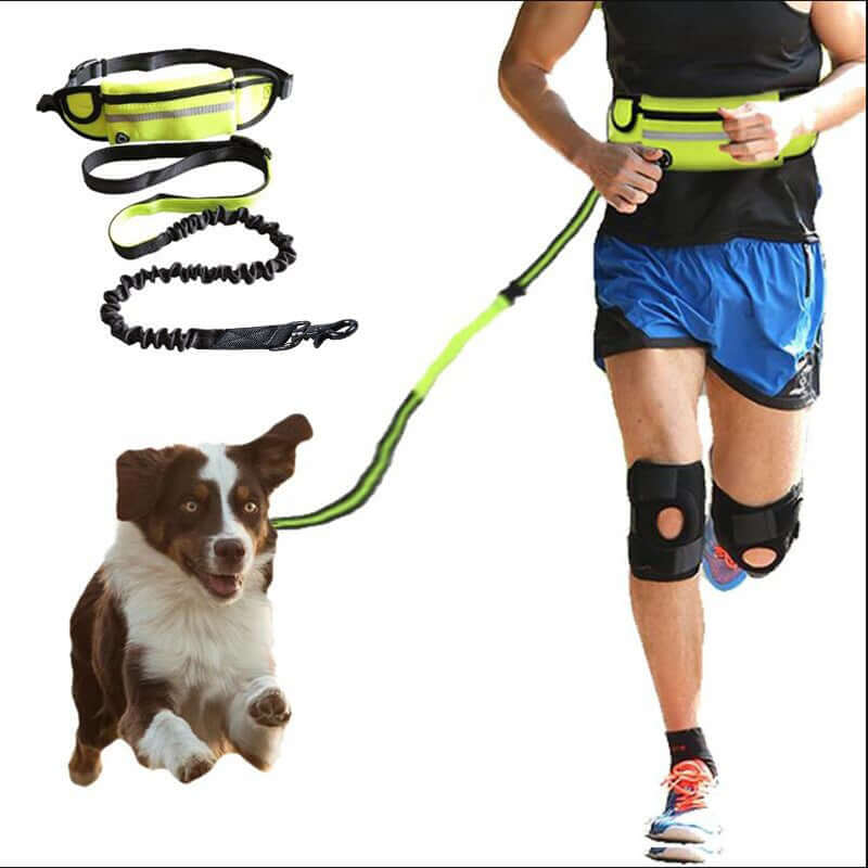 hands free dog leash with pouch - AZPaws
