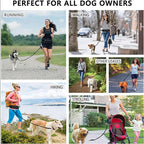 Collage of people using a dog leash for running, walking, hiking, and strolling with dogs- AZPaws