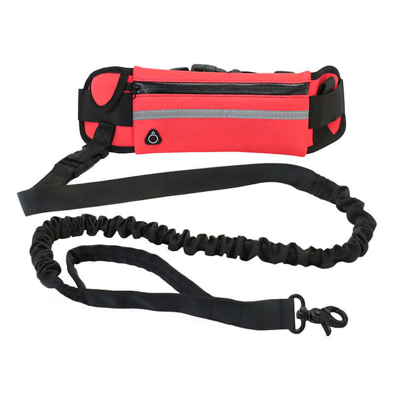 heavy duty hands-free dog leash - AZPaws