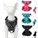 best breathable dog harness for summer- AZPaws - Breathable Dog Harness & Leash Set