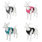  ultra-lightweight, durable harness- AZPaws