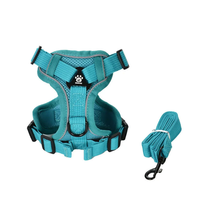 Teal dog harness and leash set on a white background - AZPaws