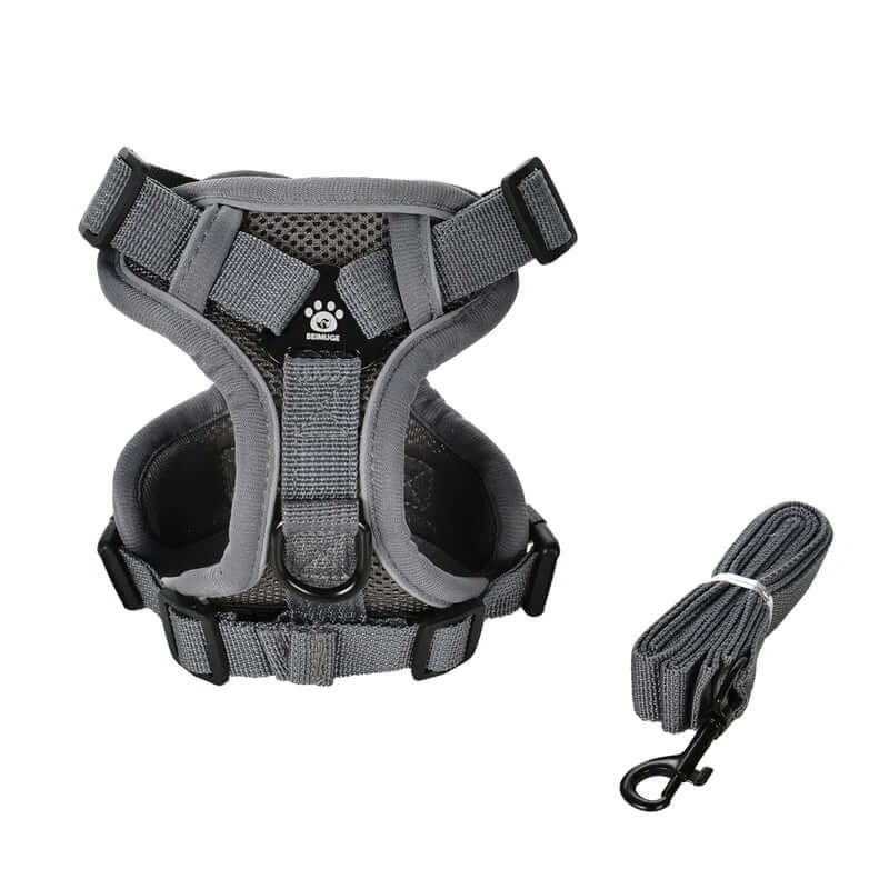 Gray dog harness with a leash on a white background -  AZPaws
