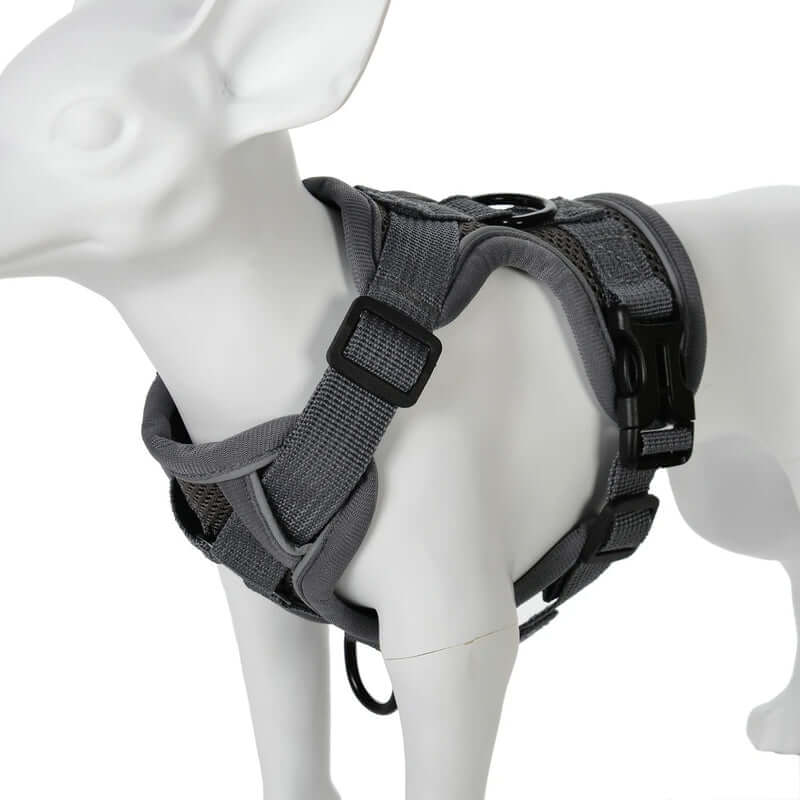 Gray dog harness on a mannequin with a white background- AZPaws