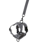 Gray dog muzzle with a strap on a white background- AZPaws