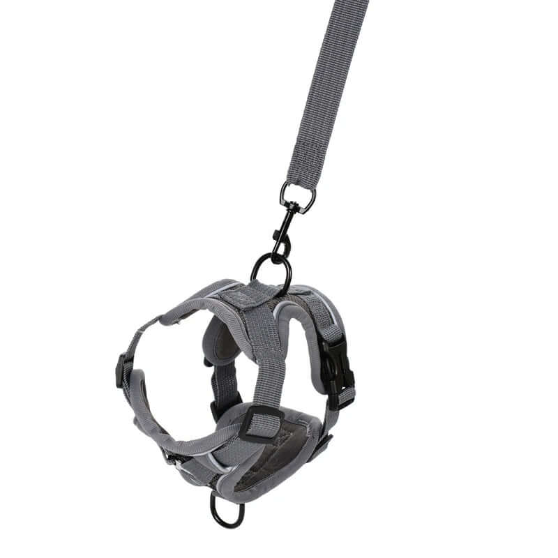 Gray dog muzzle with a strap on a white background- AZPaws
