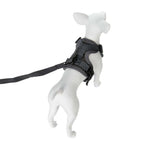 Black dog harness on a white mannequin with a white background - AZPaws