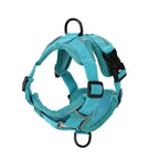 Turquoise dog harness on a white background - AZPaws