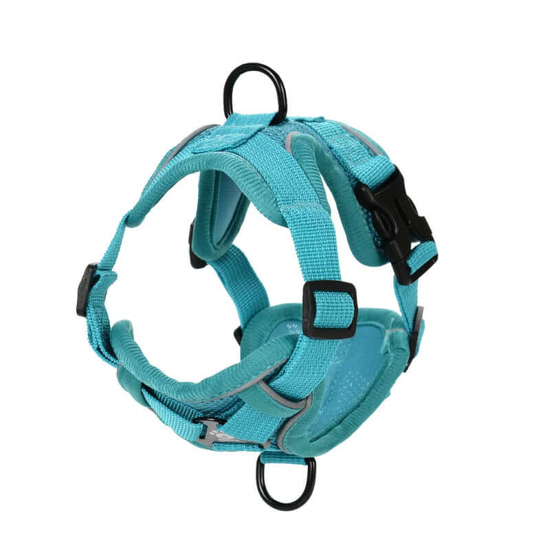 Turquoise dog harness on a white background - AZPaws