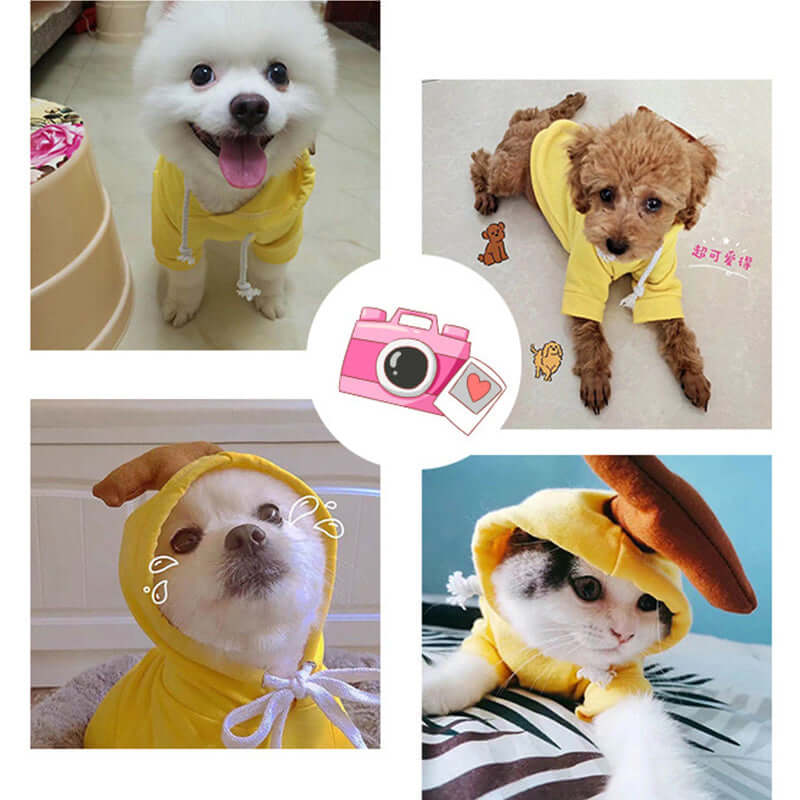 Adorable hoodies for dogs & cats