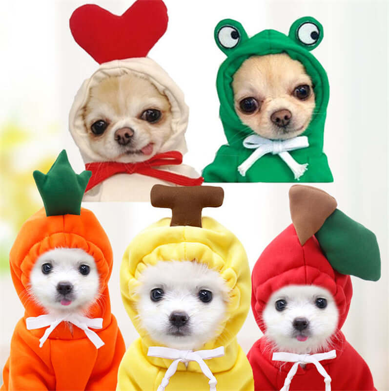 Adorable hoodies for dogs & cats