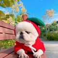 Frog themed dog hoodie with drawstring hood - winter pet clothes for French Bulldogs Pomeranians - AZPaws
