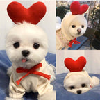 Cupid love themed dog hoodie - Valentine's Day pet clothes for small breeds - AZPaws
