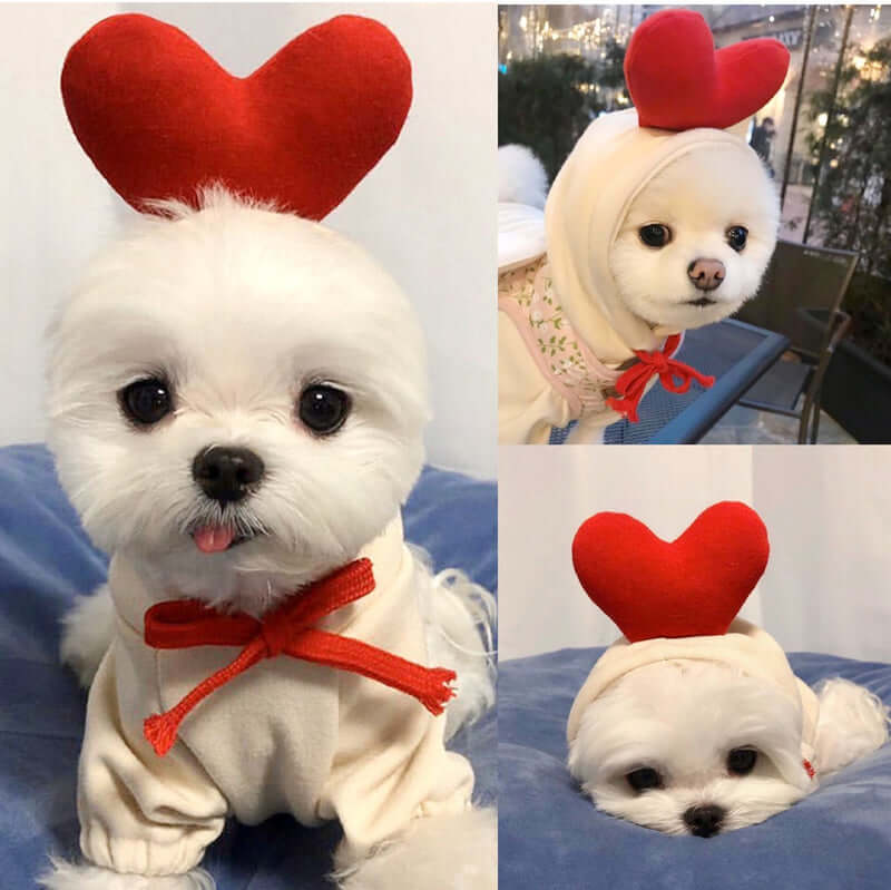 Cupid love themed dog hoodie - Valentine's Day pet clothes for small breeds - AZPaws
