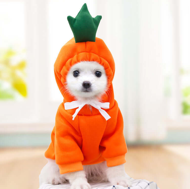 Peach pink dog hoodie - cute fruit design fleece sweater for Maltese Toy Poodles - AZPaws
