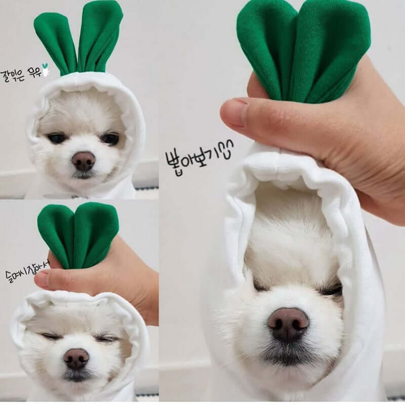White radish dog hoodie - unique fruit design winter sweater for Shih Tzus Yorkies - AZPaws
