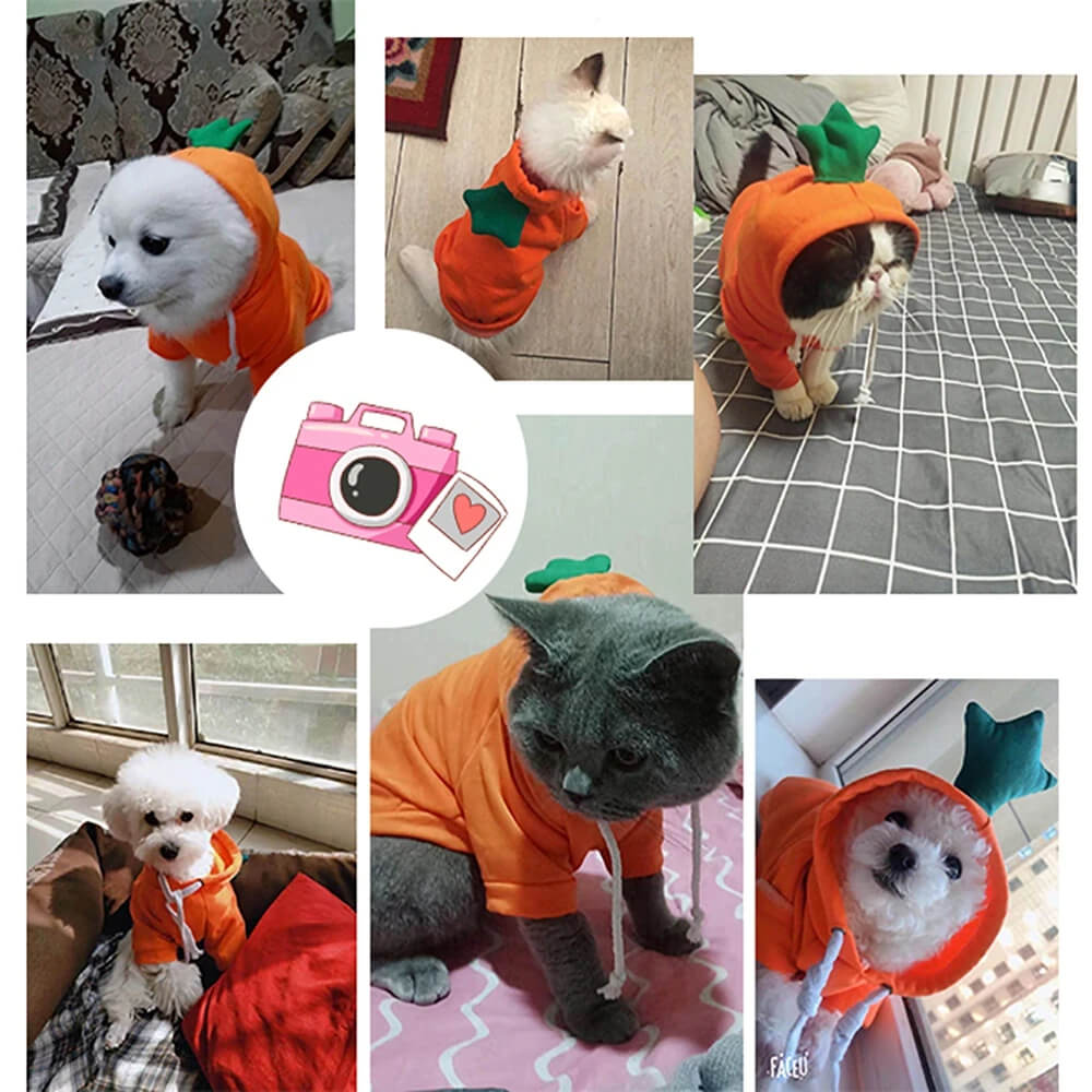 Adorable hoodies for dogs & cats