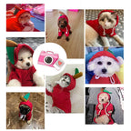 Adorable hoodies for dogs & cats