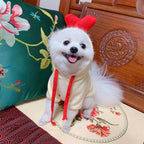 Cupid love themed dog hoodie - Valentine's Day pet clothes for small breeds - AZPaws
