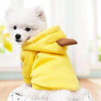 Adorable hoodies for dogs & cats