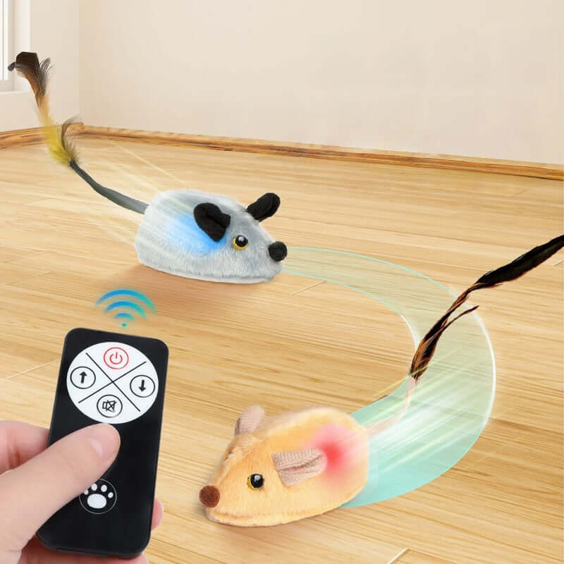 Cat toy with remote control on a wooden floor- AZPaws