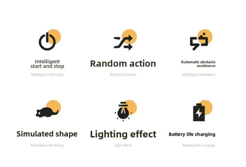 Set of icons with text labels on a white background- AZPaws